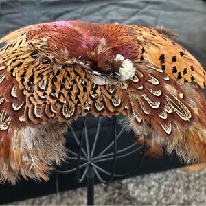 Vintage Feathered Fascinator Headpiece